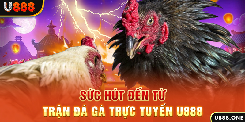 kuwin2 đá gà trực tiếp c1