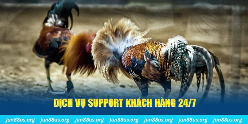 kuwin2 ÁT CHỦ BÀI GIÀNH LẤY ZHUANG NIUNIU ( XEM 4 LÁ )
