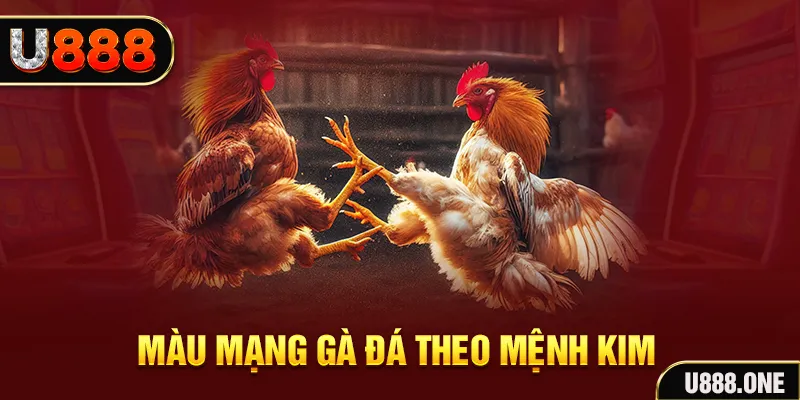kuwin2 Cỡ bảy