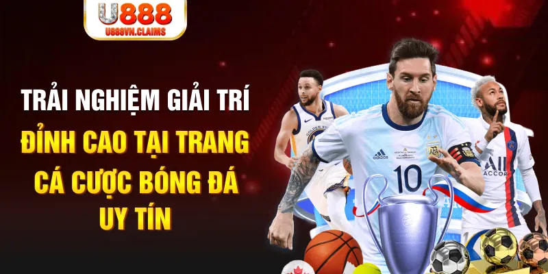 kuwin2 gà chọi hoà phong