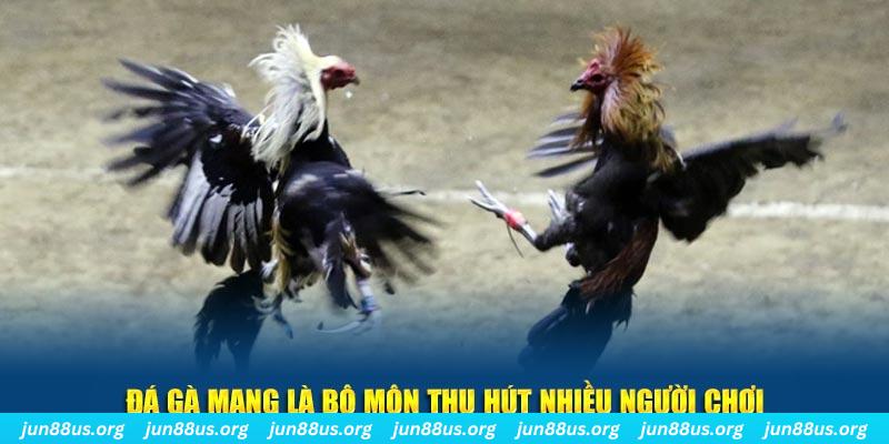 kuwin2 bắn cá au88