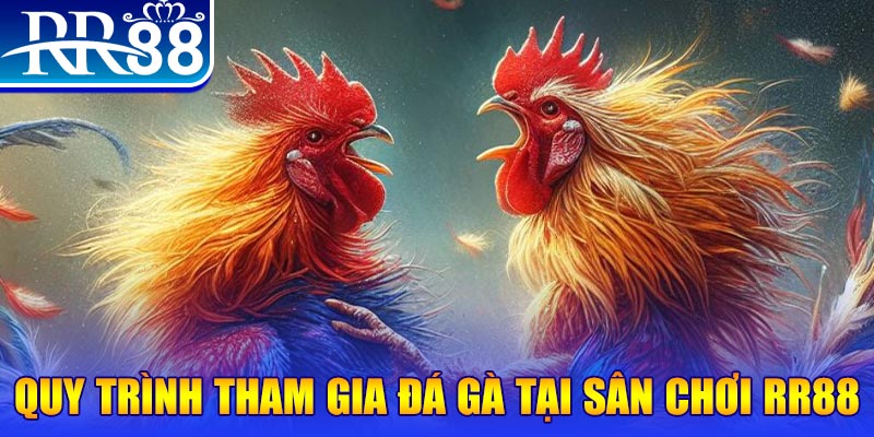 kuwin2 đá gà cam 67