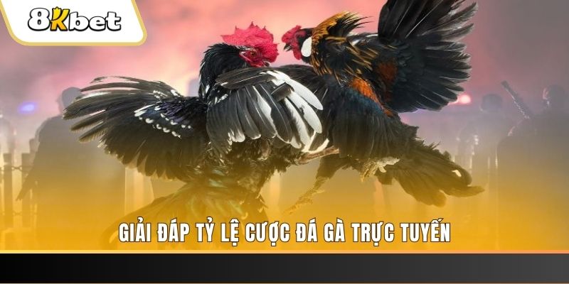 kuwin2 xổ số đài miền trung