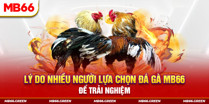 kuwin2 xổ số miền bắc thứ bảy hàng tuần