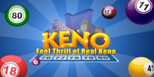 kuwin2 gà chọi c1 thomo