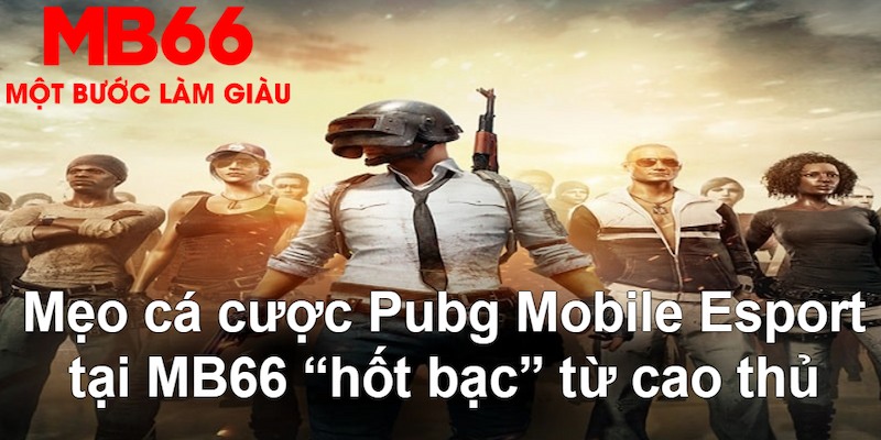 kuwin2 VA Bắn cá