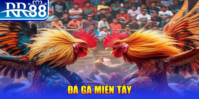 kuwin2 no hu doi thuong ai