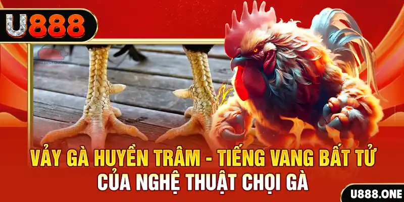 kuwin2 xổ số miền bắc ngày hôm nay