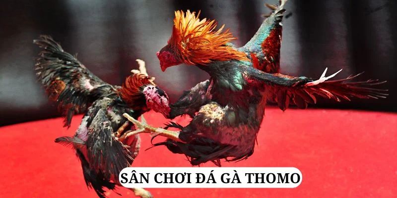 kuwin2 trực tiếp xổ số miền bắc